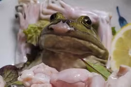 Khóc thét với hai món ăn kinh dị từ ếch sống