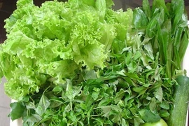 Những nguy hiểm tiềm ẩn khi ăn rau sống