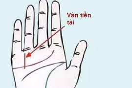 Xem chỉ tay biết người có tướng làm quan, cả đời hưởng lộc 