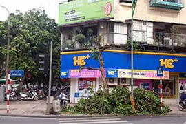 Cây xanh trên phố lớn Hà Nội bị chặt trộm giữa đêm