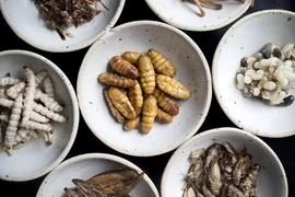 Ăn sâu tre, dế mèn ở nhà hàng hạng sang của Thái Lan 