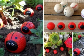 Những ý tưởng trang trí sân vườn cực độc