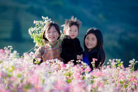 Ngắm nhìn cao nguyên đá nở hoa trên mảnh đất Hà Giang