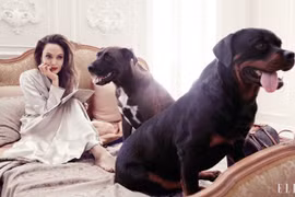 Angelina Jolie 44 tuổi đẹp rạng ngời với thần thái mê hoặc