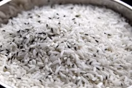 Gạo mua về hay bị mọt, làm theo cách này để lâu không sợ hỏng