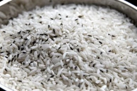 Gạo mua về hay bị mọt, làm theo cách này để lâu không sợ hỏng