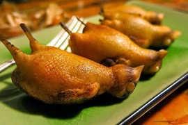 Sự tàn nhẫn sau món họa mi nướng phục vụ giới nhà giàu