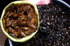 Cà niễng, đặc sản Ninh Bình khiến nhiều người khiếp vía