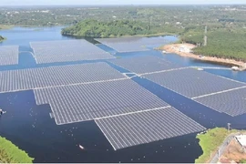 Bà Rịa-Vũng Tàu: Phạt 2 công ty vận hành nhà máy điện mặt trời khi chưa nghiệm thu
