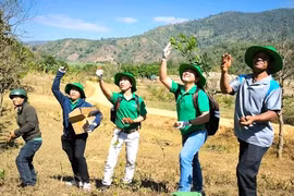 Trồng cây xanh, về với thiên nhiên- liệu pháp chữa lành tâm hồn