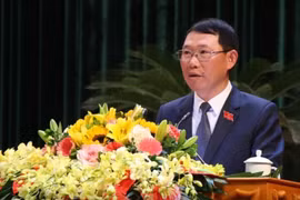 Thi hành kỷ luật Chủ tịch UBND tỉnh Bắc Giang Lê Ánh Dương