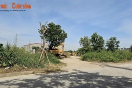 Hải Dương yêu cầu báo cáo kết quả xử lý các dự án chậm tiến độ