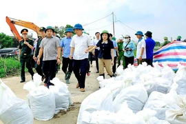 Hải Dương: Bố trí thêm lực lượng bảo vệ đê toàn tuyến 24/24h