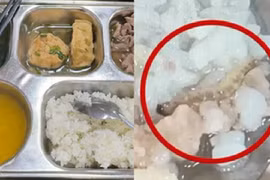 Vụ sinh viên Bách khoa ăn cơm thừa, có dị vật: Bài học lớn!