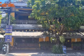 Đà Nẵng nêu vướng mắc trong thu hồi tài sản liên quan Vũ "nhôm"