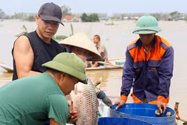 Hải Dương hỗ trợ người dân ảnh hưởng bão lũ kịp thời, công khai