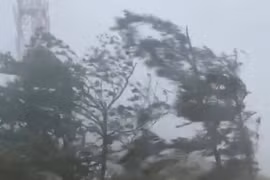 Bão số 3 vào Vịnh Bắc Bộ, Bạch Long Vĩ gió mạnh cấp 12