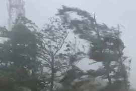 Bão số 3 vào Vịnh Bắc Bộ, Bạch Long Vĩ gió mạnh cấp 12