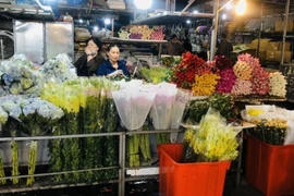 Gần Tết, chợ hoa lớn nhất Hà Nội vẫn đìu hiu dù giá giảm