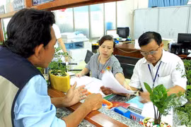 TP HCM: Trích lục giấy kết hôn, khai sinh không phụ thuộc nơi cư trú 