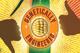 Ưu nhược điểm của thực phẩm GMO từ góc độ ăn chay