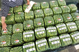 Hiểu lầm khó đỡ về thực phẩm biến đổi gen 