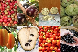 Những loại hoa quả bình dân phục vụ Olympic Rio 2016