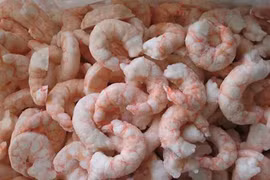 Mẹo sơ chế tôm đông lạnh ngon không kém tôm tươi