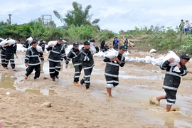 Ảnh: Hàng trăm cảnh sát cơ động giúp dân vá đê