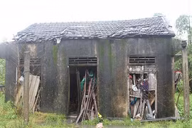 Cuộc sống như thời nguyên thủy của ba mẹ con “người rừng” ở Huế