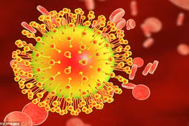 WHO khuyến cáo mạnh mẽ sau khi tìm thấy Zika trong nước mắt 