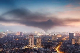 Công ty Rạng Đông và cách công bố thông tin nửa vời