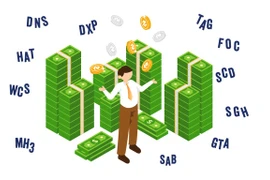 Những doanh nghiệp rủng rỉnh tiền và dấu hỏi về định hướng phát triển