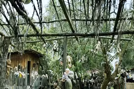 Video: Bí mật phía sau hòn đảo búp bê đáng sợ
