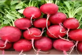 Ăn thực phẩm này, da chẳng bao giờ nứt nẻ vào mùa đông