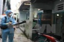 Tây Ninh: Một phụ nữ nghi có thai dương tính với virus Zika