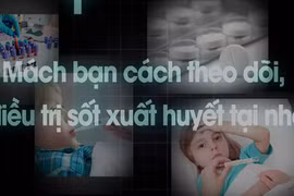 Mách bạn cách theo dõi, điều trị sốt xuất huyết tại nhà