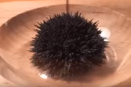 Video: Khơi dậy trí tò mò, sáng tạo bằng những món đồ chơi thú vị dưới đây