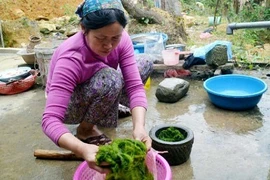 Sự thật quá bất ngờ về thực phẩm tưởng đồ bỏ đi