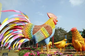 Chiêm ngưỡng đàn gà khổng lồ trong vườn hoa lớn nhất miền Bắc