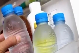 Thực hư việc cho nước vào chai nhựa để tủ lạnh gây ung thư