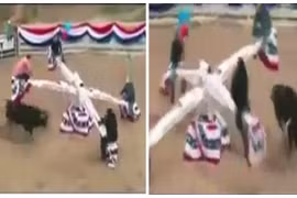 Kinh hoàng clip chơi trò bập bênh trêu ngươi bò tót