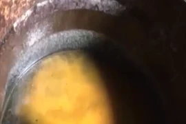 Kinh hoàng cả tấn mỡ bẩn lẫn côn trùng đựng trong thùng phuy