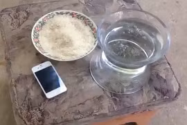 Ngâm iPhone 4 dưới nước 1 năm, sững sờ khi vớt lên