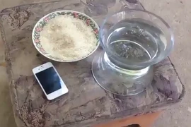 Ngâm iPhone 4 dưới nước 1 năm, sững sờ khi vớt lên