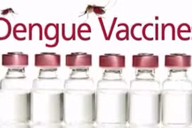 Thế giới đã có vắc xin sốt xuất huyết, tại sao VN chưa dùng?