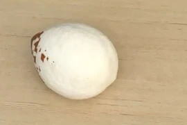 Hướng dẫn cách lấy cùi dừa nhanh gọn, dễ dàng nhất