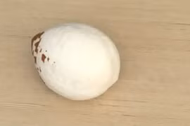 Hướng dẫn cách lấy cùi dừa nhanh gọn, dễ dàng nhất