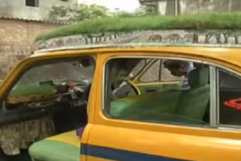 Khám phá dịch vụ taxi chống nóng bằng... cỏ