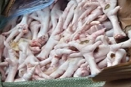 Video: Sự thật kinh hoàng về gà đông lạnh ở vùng biên